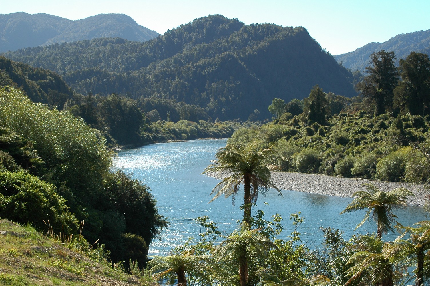 039   23 01   Nelson   Greymouth